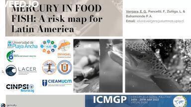 Mercury in fish: assessing the risks in Latin America and the Caribbean